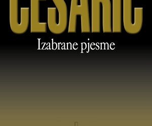 Lirika – pojmovnik, upute, listići za interpretaciju